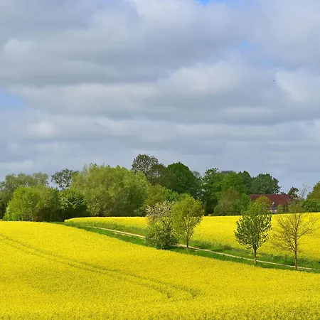 Im Gutshaus Schulenbrook